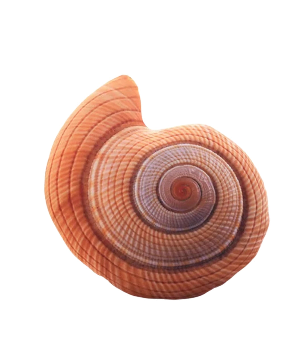 "Apportez une touche marine et douce à votre intérieur avec nos coussins en forme de coquillages. Ultra-moelleux et élégants, ils décorent canapé, lit ou chambre d’enfant tout en offrant un confort absolu. Parfaits pour un cadeau unique et raffiné."