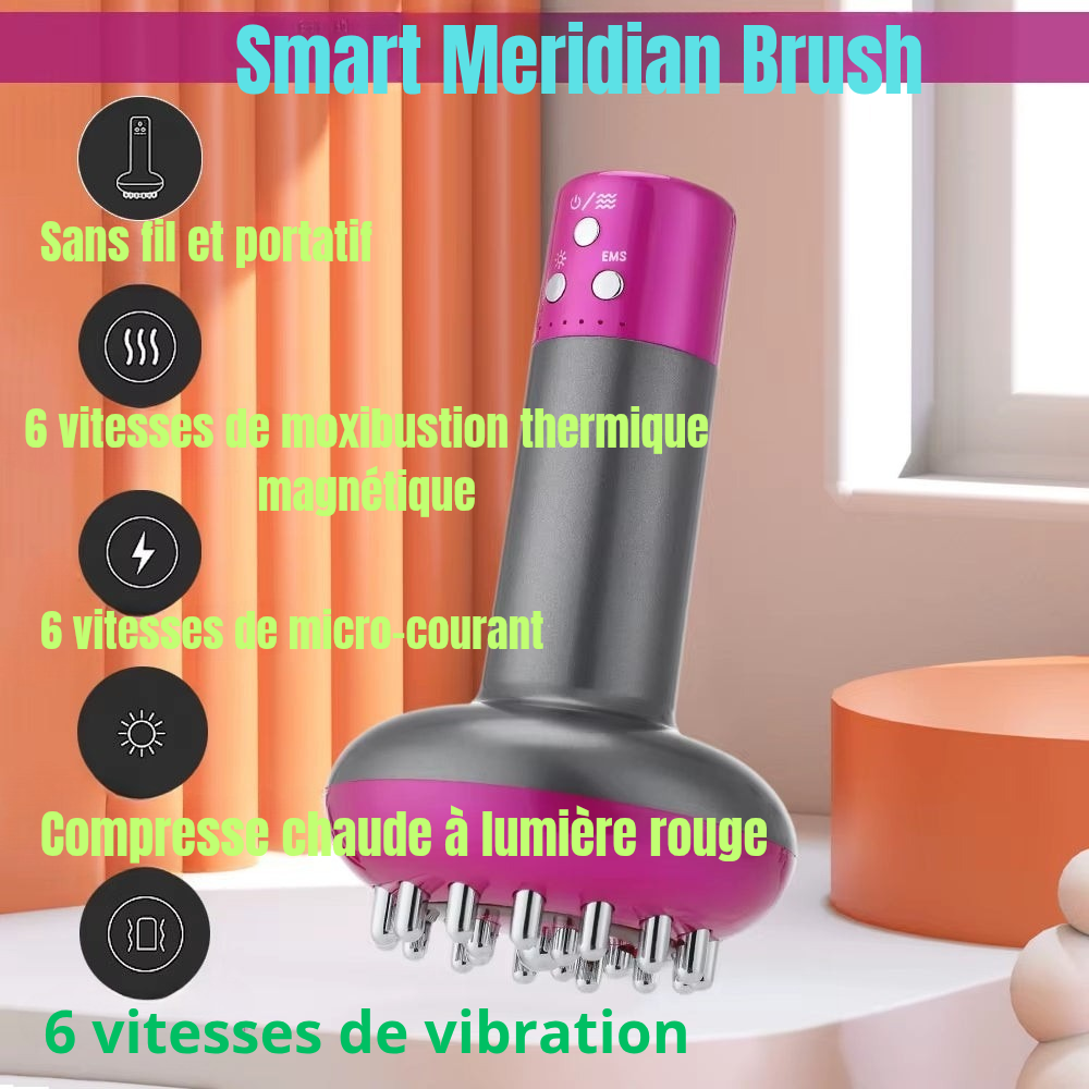 La Smart Meridian Brush, un masseur électrique révolutionnaire combinant GUA-SHA vibrant, micro-courants, compresse chaude et moxibustion thermique. elle stimule les endorphines, favorise le drainage lymphatique, brûle les graisses et Détend les muscles!