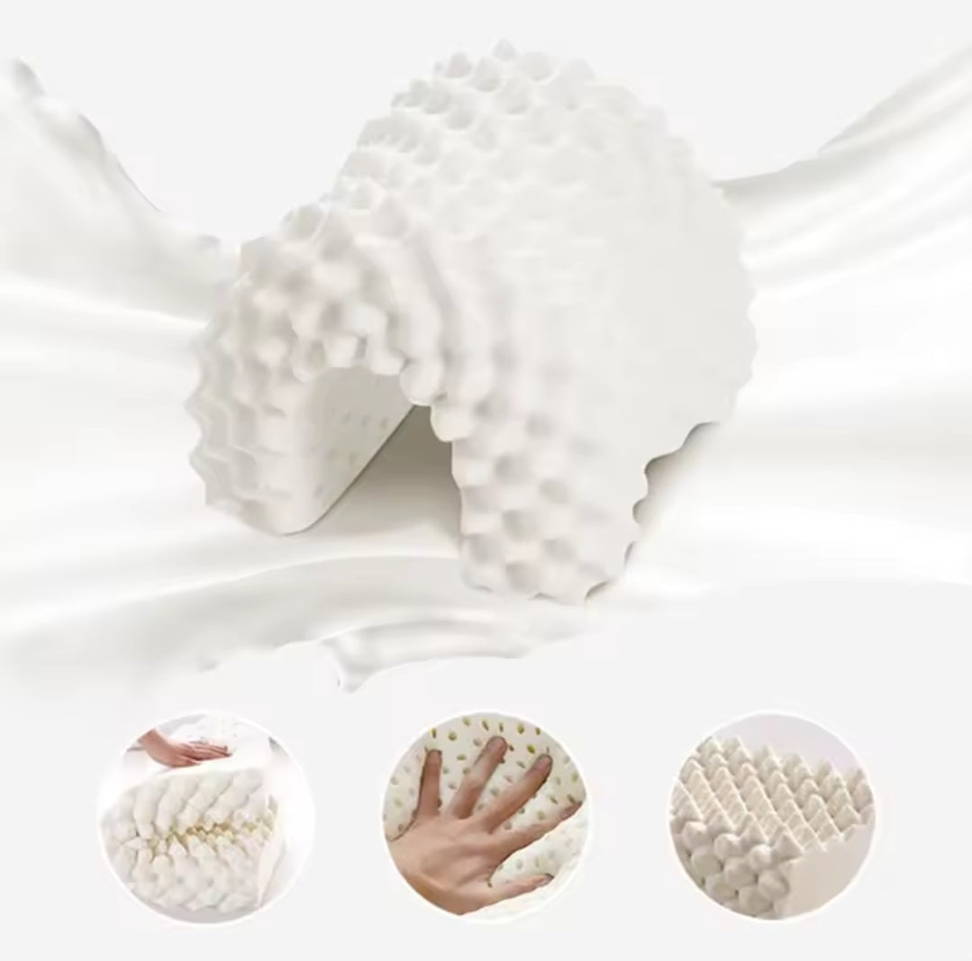 Cet oreiller orthopédique en latex naturel offre un soutien optimal pour la nuque et la colonne vertébrale. Alliant confort et fermeté, il favorise un sommeil réparateur. Écologique et durable, il conserve sa forme et sa résilience pendant des années.